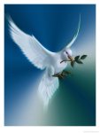 dove-of-peace.jpg