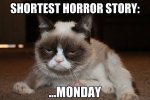 monday-grumpycat.jpg