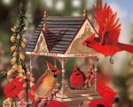 Grende_Janene_2000_SongBirds_Birds-08_wallcoo.com.jpg