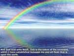 genesis 9 v17.jpg