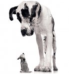Big-dog-little-dog.jpg Big-dog-little-dog.jpg