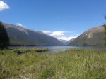 Lake near home (800x600) (2).jpg