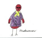 undercover.jpg