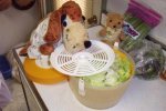 lettuce14.jpg