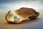 pearl-oyster-perfection.jpg