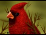 0c52a7bff2eb05acd0ad2aa6bbce10a8.jpg