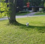 20150810_172554~2.jpg
