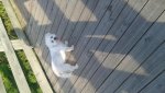20150810_182047.jpg