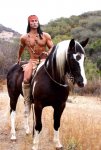 Horse-Culture.jpg