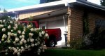 Pickup and Flowers.jpg