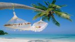 Beach-With-Palm-Trees.jpg