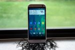 rooted-640x425.jpg