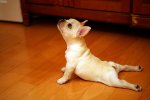 And-Stretch-l.jpg