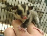 l-Just-a-little-bit-of-cuteness-to-start-your-day....jpg