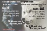 two-wolves.jpg two-wolves.jpg