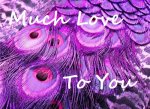 feathersMuchLove.jpg