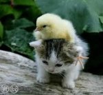 cute!.jpg