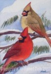 2A11cardinals-in-winter.jpg