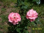 100_1301.jpg