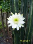 100_1374.jpg
