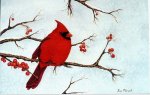 82234-too_cold_to_eat._winter_cardinal_WC.JPG