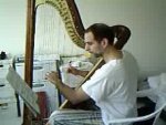 harp man.jpg harp man.jpg