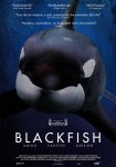 blackfish_07.jpg