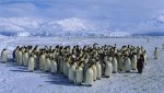 Antarctica-3.jpg