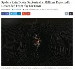 Australia+you+scary+article+http+wwwibtimescom+spiders+rain+down+australia+millions+reportedly+d.jpg