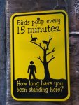 birds poop.jpg