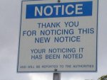 noticing.jpg