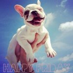happy-friday.jpg