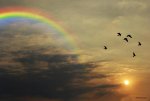 tranquil-sunset-and-rainbow-jay-harrison.jpg