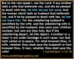 1 Corinthians 7 v12-16.png