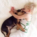 toddler-naps-with-puppy-theo-and-beau-19.jpg