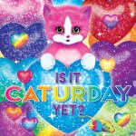 cat.jpg cat.jpg