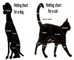 pet.jpg