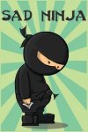SADNINJA.jpg SADNINJA.jpg