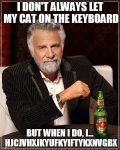 catkeyboard.jpg