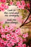 1 Chronicles 16v11.jpg