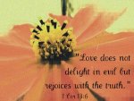 1 Corinthians 13v6.jpg