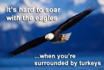 soar-with-eagles-1024x683.jpg