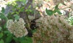 20150907_155014.jpg