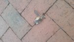 20151003_074739.jpg