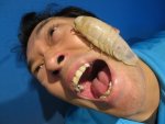 aaaaaa.jpg