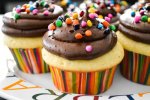 CupcakesYellow-Cupcakes-with-Chocolate-Frosting1.jpg