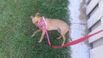 20150831_160346.jpg