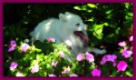 DSC04342.jpg