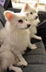 DSC03422.jpg