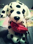 IMG_20151008_195353.jpg